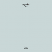 Peel & Stick Sample - Iceman