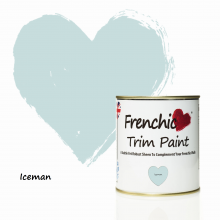 Trim Paint - Iceman 500ml