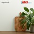 Peel & Stick Sample - Sage Froth